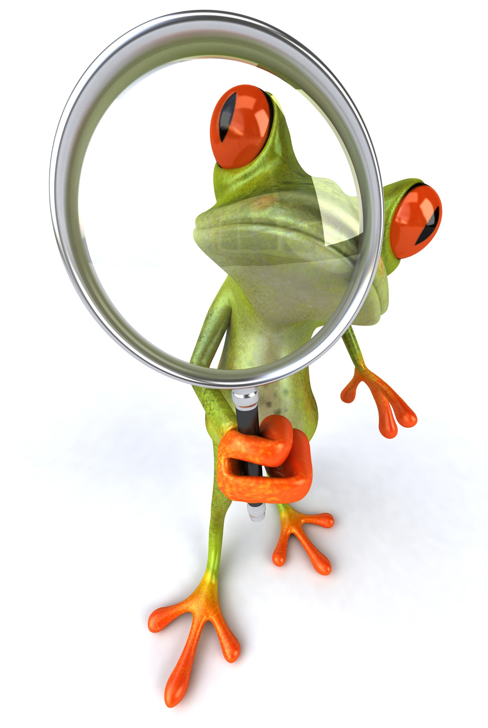 80476777_m Cartoon frog with a magnifying glass